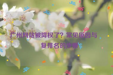 廣州網(wǎng)站被降權(quán)了？常見原因與恢復排名的步驟