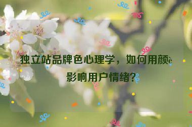 獨(dú)立站品牌色心理學(xué)，如何用顏色影響用戶情緒？