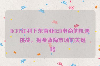 RCEP紅利下東南亞B2B電商的機遇與挑戰(zhàn)，掘金藍海市場的關鍵策略
