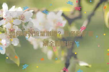 如何應(yīng)對流量激增？服務(wù)器擴展方案全面解析