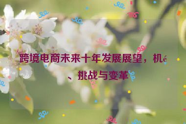 跨境電商未來十年發(fā)展展望，機(jī)遇、挑戰(zhàn)與變革