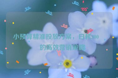 小預(yù)算精準投放方案，日耗300元的高效營銷策略