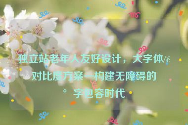 獨(dú)立站老年人友好設(shè)計(jì)，大字體/高對(duì)比度方案—構(gòu)建無障礙的數(shù)字包容時(shí)代