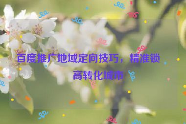 百度推廣地域定向技巧，精準(zhǔn)鎖定高轉(zhuǎn)化城市
