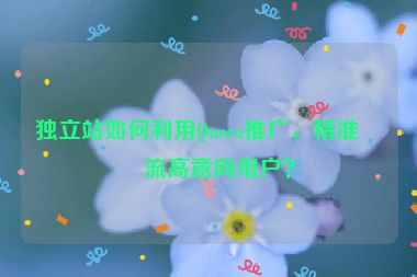 獨立站如何利用Quora推廣，精準(zhǔn)引流高意向用戶？