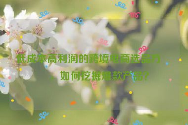 低成本高利潤的跨境電商選品方法，如何挖掘爆款產(chǎn)品？