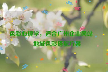 色彩心理學(xué)，適合廣州企業(yè)網(wǎng)站的地域色彩搭配方案