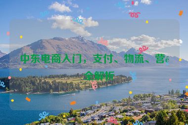 中東電商入門，支付、物流、營銷全解析