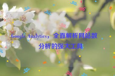 Google Analytics，全面解析網(wǎng)站數(shù)據(jù)分析的強(qiáng)大工具