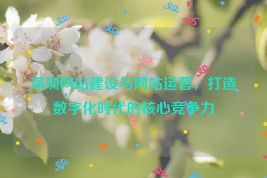 深圳網(wǎng)站建設(shè)與網(wǎng)站運(yùn)營(yíng)，打造數(shù)字化時(shí)代的核心競(jìng)爭(zhēng)力
