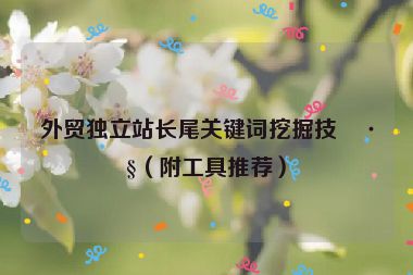 外貿(mào)獨(dú)立站長尾關(guān)鍵詞挖掘技巧（附工具推薦）