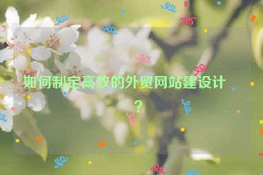 如何制定高效的外貿(mào)網(wǎng)站建設(shè)計(jì)劃？