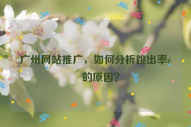 廣州網(wǎng)站推廣，如何分析跳出率高的原因？