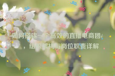 如何搭建一個(gè)高效的直播電商團(tuán)隊(duì)，組織架構(gòu)與崗位職責(zé)詳解