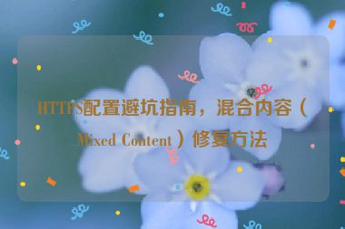 HTTPS配置避坑指南，混合內(nèi)容（Mixed Content）修復方法