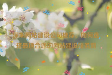 深圳網(wǎng)站建設(shè)公司推薦，如何選擇最適合您的網(wǎng)站建設(shè)服務(wù)商