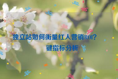獨(dú)立站如何衡量紅人營(yíng)銷ROI？關(guān)鍵指標(biāo)分析