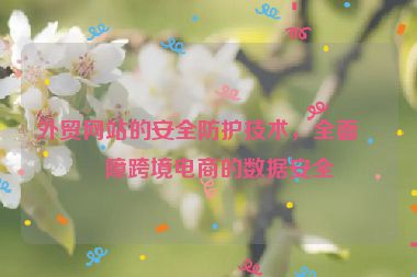 外貿(mào)網(wǎng)站的安全防護(hù)技術(shù)，全面保障跨境電商的數(shù)據(jù)安全