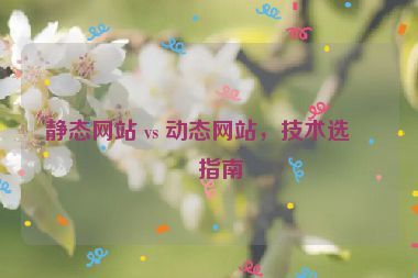 靜態(tài)網站 vs 動態(tài)網站，技術選型指南