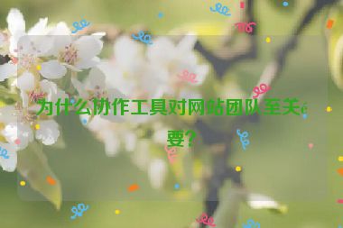 為什么協(xié)作工具對網(wǎng)站團隊至關(guān)重要？