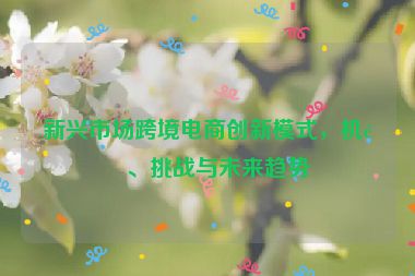 新興市場跨境電商創(chuàng)新模式，機(jī)遇、挑戰(zhàn)與未來趨勢