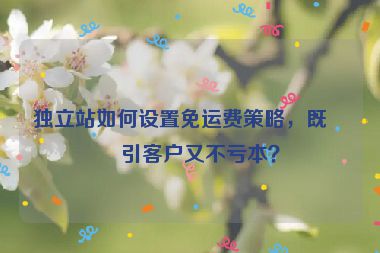 獨立站如何設(shè)置免運費策略，既吸引客戶又不虧本？
