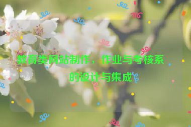 教育類網(wǎng)站制作，作業(yè)與考核系統(tǒng)的設(shè)計與集成