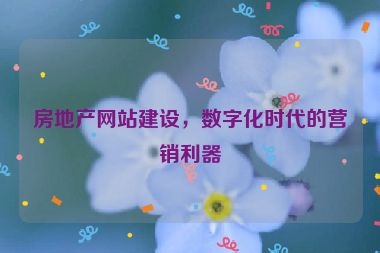 房地產(chǎn)網(wǎng)站建設(shè)，數(shù)字化時(shí)代的營銷利器
