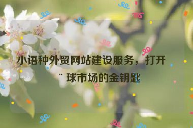 小語(yǔ)種外貿(mào)網(wǎng)站建設(shè)服務(wù)，打開(kāi)全球市場(chǎng)的金鑰匙