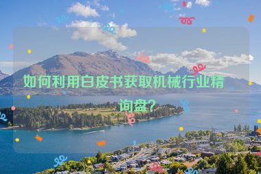 如何利用白皮書(shū)獲取機(jī)械行業(yè)精準(zhǔn)詢(xún)盤(pán)？