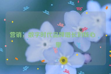 營(yíng)銷(xiāo)，數(shù)字時(shí)代品牌增長(zhǎng)的核心引擎