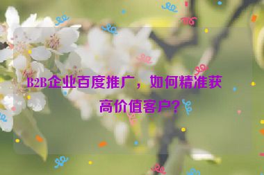 B2B企業(yè)百度推廣，如何精準(zhǔn)獲取高價(jià)值客戶？