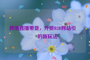 跨境直播帶貨，外貿(mào)B2B網(wǎng)站引流的新玩法