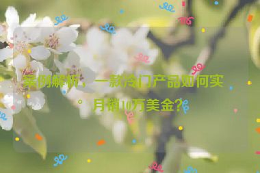案例解析，一款冷門產(chǎn)品如何實現(xiàn)月銷10萬美金？