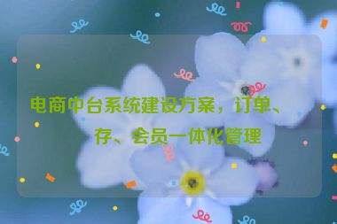 電商中臺系統(tǒng)建設方案，訂單、庫存、會員一體化管理