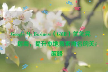 Google My Business（GMB）優(yōu)化完整指南，提升本地搜索排名的關(guān)鍵策略