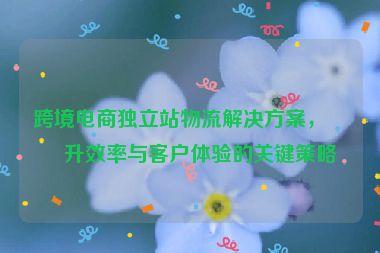跨境電商獨(dú)立站物流解決方案，提升效率與客戶體驗(yàn)的關(guān)鍵策略