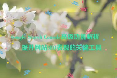 Google Search Console高級功能解析，提升網(wǎng)站SEO表現(xiàn)的關鍵工具
