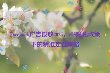 Facebook廣告投放2025，iOS隱私政策下的精準(zhǔn)定位策略