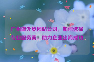 廣州做外貿(mào)網(wǎng)站公司，如何選擇專業(yè)服務(wù)商，助力企業(yè)出海成功