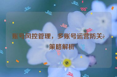 賬號風控管理，多賬號運營防關聯(lián)策略解析