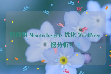 如何用 MonsterInsights 優(yōu)化 WordPress 數(shù)據(jù)分析？