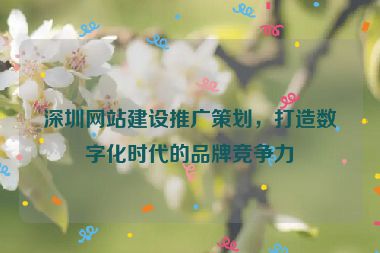 深圳網(wǎng)站建設(shè)推廣策劃，打造數(shù)字化時代的品牌競爭力