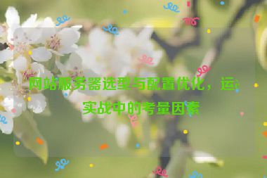 網(wǎng)站服務(wù)器選型與配置優(yōu)化，運(yùn)營實(shí)戰(zhàn)中的考量因素