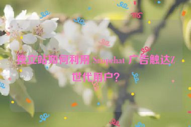 獨(dú)立站如何利用 Snapchat 廣告觸達(dá)Z世代用戶？