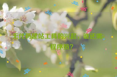 無代碼建站工具的興起，誰還需要程序員？