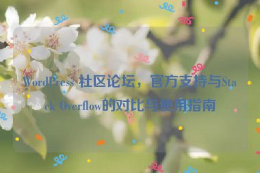 WordPress 社區(qū)論壇，官方支持與Stack Overflow的對比與使用指南
