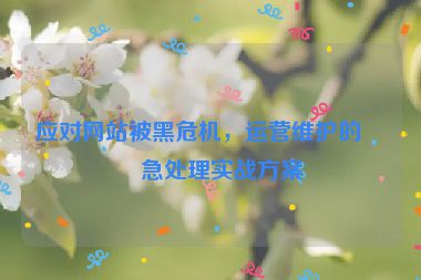 應對網(wǎng)站被黑危機，運營維護的應急處理實戰(zhàn)方案