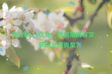 獨(dú)立站SEO優(yōu)化，如何用博客文章獲取免費(fèi)流量？