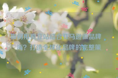 如何用獨(dú)立站結(jié)合亞馬遜做品牌出海？打造全球化品牌的完整策略